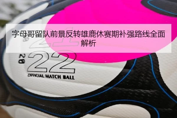 字母哥留队前景反转雄鹿休赛期补强路线全面解析 | kaiyun sports